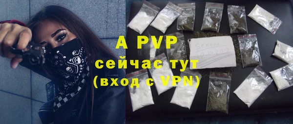 ПСИЛОЦИБИНОВЫЕ ГРИБЫ Медногорск