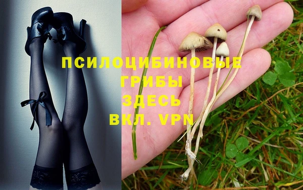 соль ск Магадан