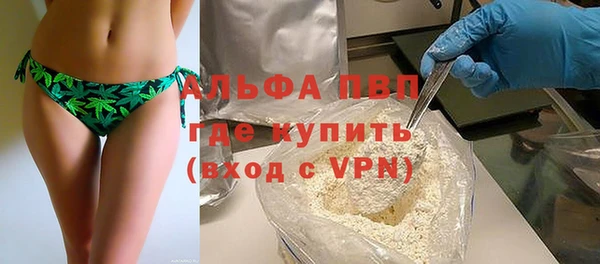 прущие грибы Майский