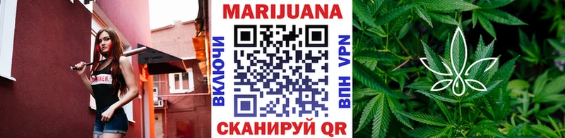 Конопля план  Купить где  Кушва 